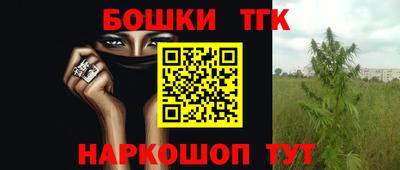 гидра Гусев
