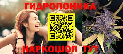 гидра Гусев