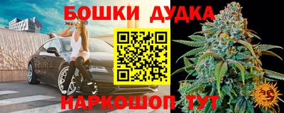 гидра Гусев