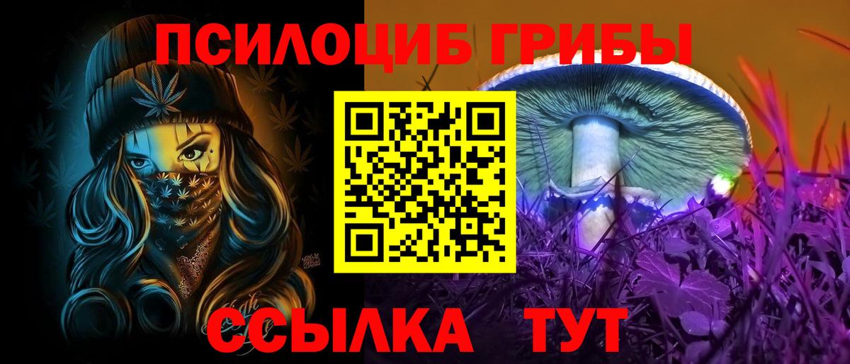 Галлюциногенные грибы Magic Shrooms  Псилоцибиновые грибы Magic Shrooms  где можно купить наркотик  Вход с VPN  Рассказово 